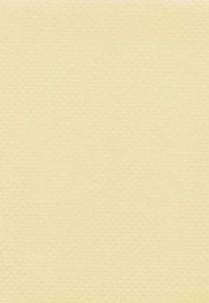 דגם 3144 pvc