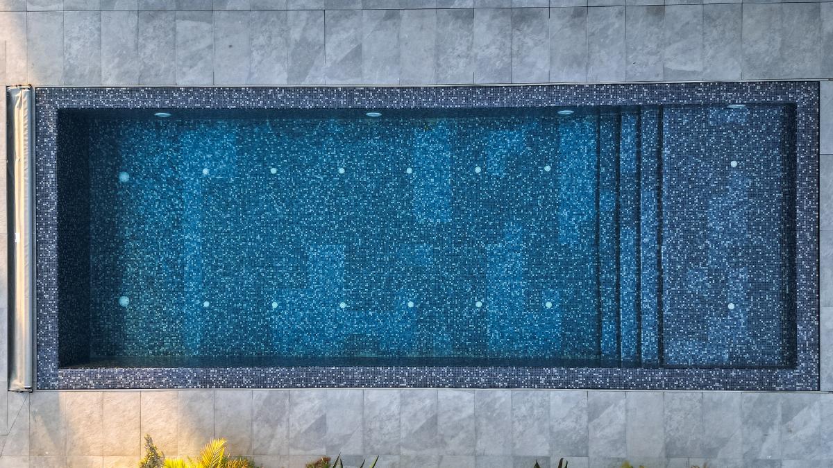 Read more about the article פוריה