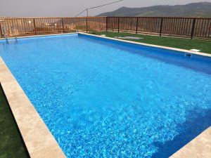 סקימר לבריכת בטון