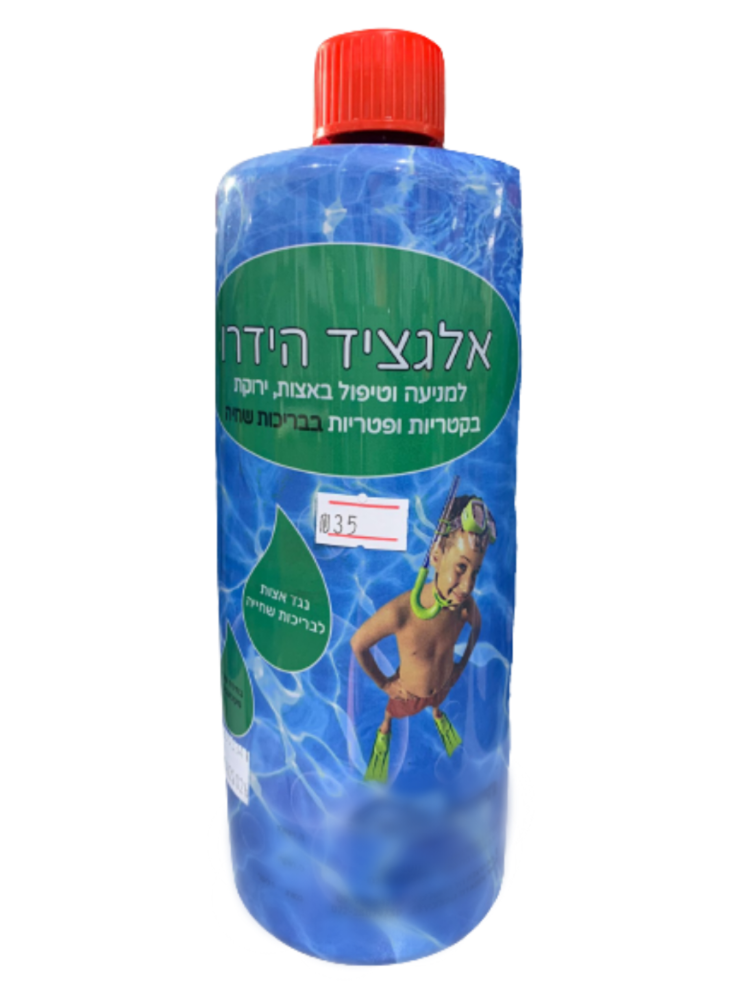 Read more about the article מניעה וטיפול באצות ירוקות, בקטריות ופטריות בבריכות שחייה